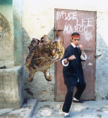 brucelee_maroc@bm.com    khalid_brucelee@hotmail.fr